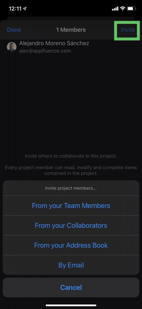 Invite a team member to a project on iPhone