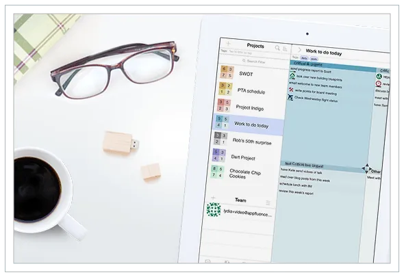 iPad project management app