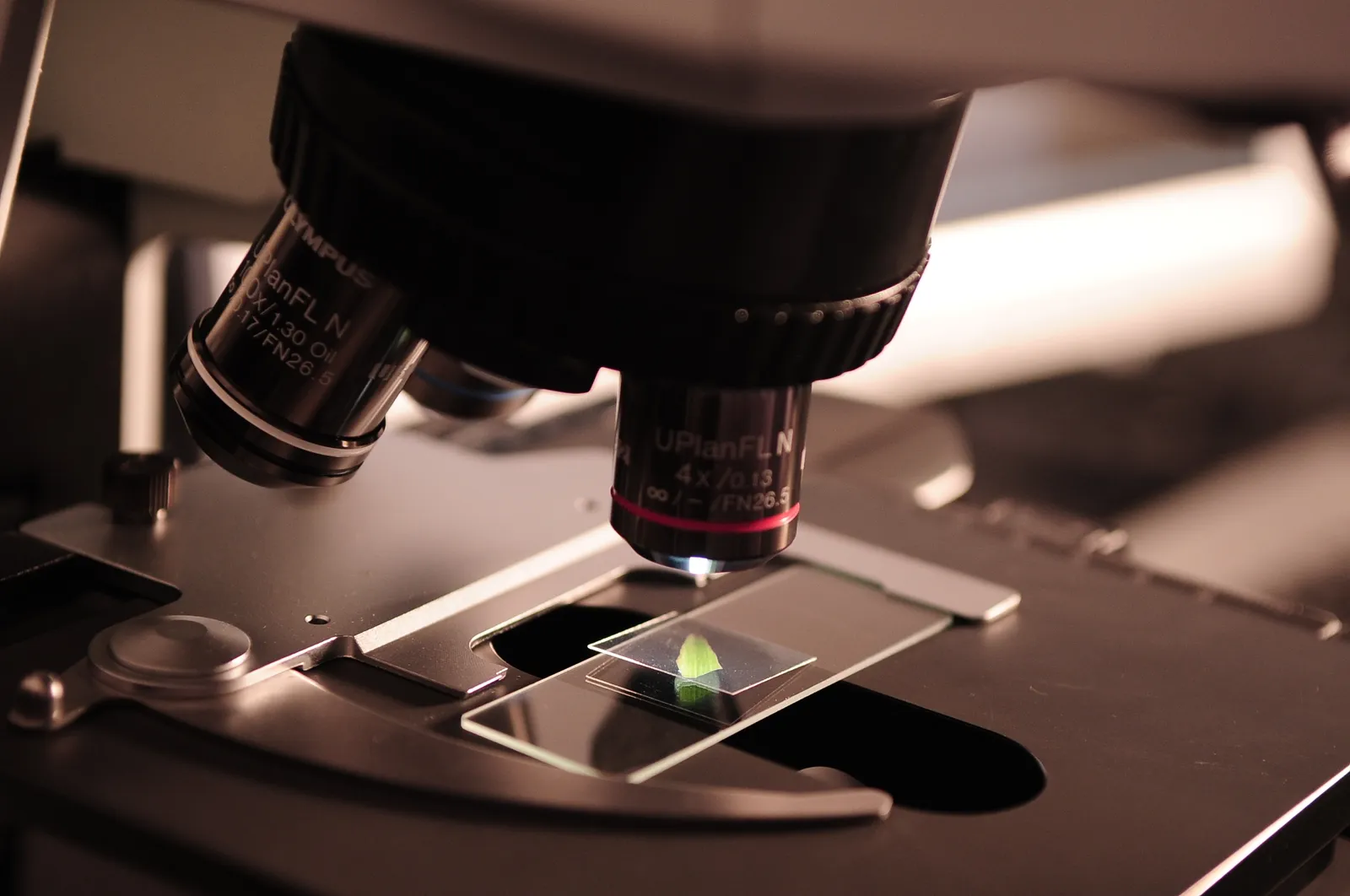 17 Biotech Conferences to Attend in 2019